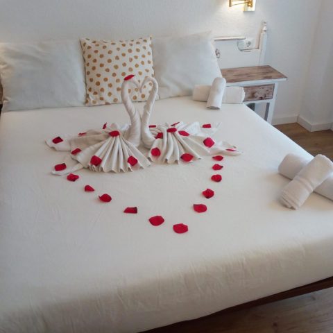 Hotel Mireia